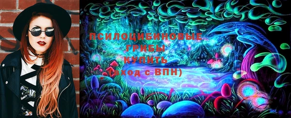 винт Протвино