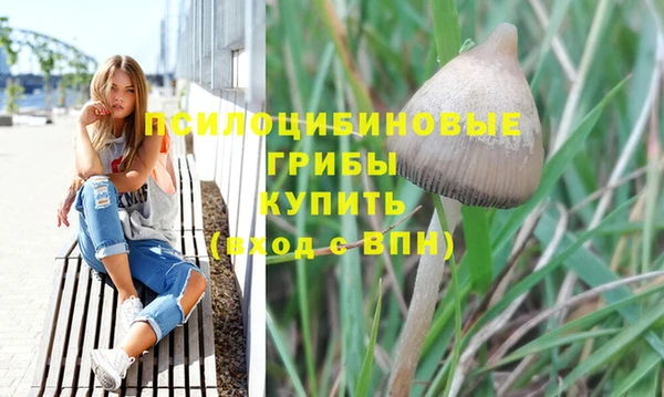 скорость Приозерск