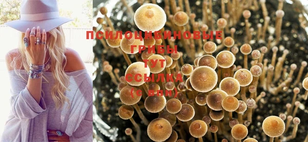 винт Протвино