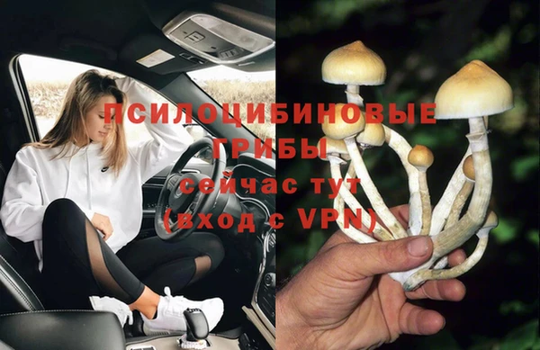 скорость Приозерск