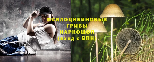 винт Протвино
