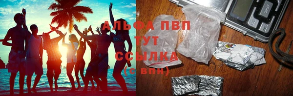 spice Губаха