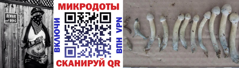 Галлюциногенные грибы GOLDEN TEACHER  Сенгилей 
